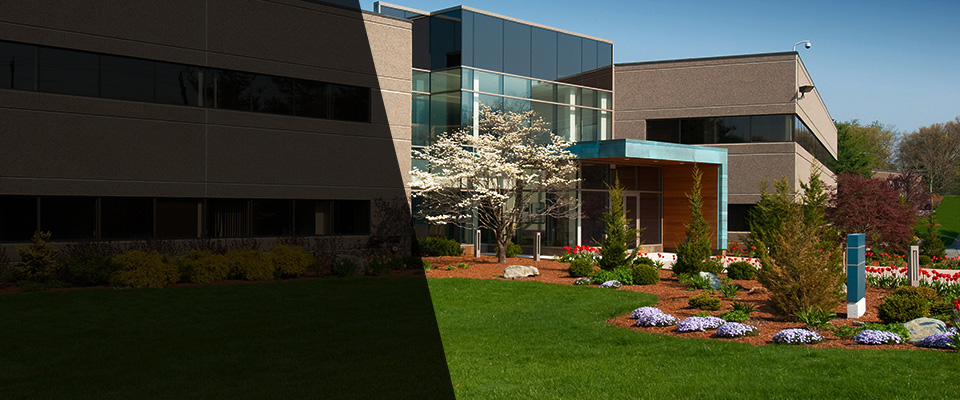 Haddonfield Landscapers