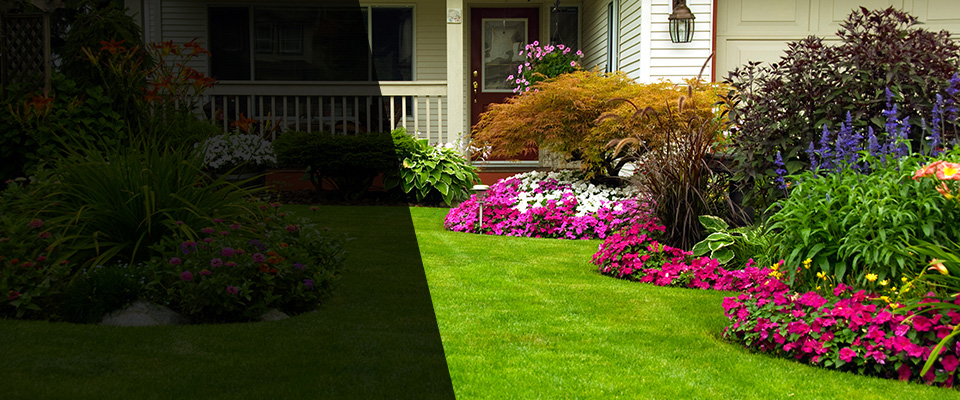 Haddonfield Landscapers