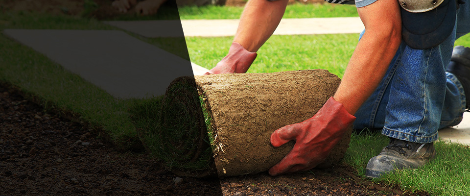 Haddonfield Landscapers